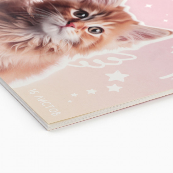Альбом для рисования «Котики»