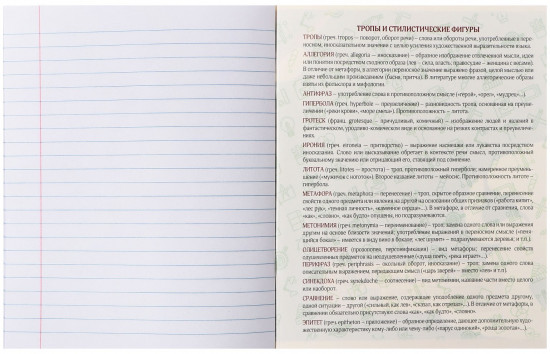 Тетрадь предметная «BlackTone. Литература»