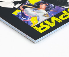 Тетрадь предметная «Аниме комикс. История» - Фото 1