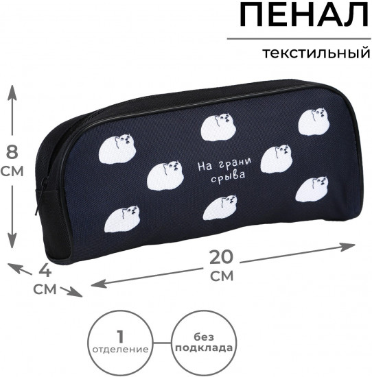 Пенал школьный «На грани срыва»