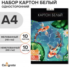 Картон белый односторонний - Фото 5