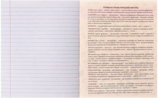 Тетрадь предметная «Журнал. Литература»