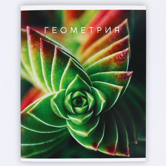 Тетрадь предметная «Геометрия»