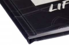 Дневник школьный универсальный для 1-11 классов «Кеды зелено-красные» - Фото 2