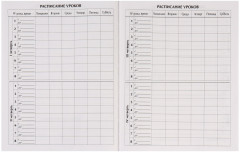 Дневник школьный универсальный для 1-11 классов «Кеды зелено-красные» - Фото 5
