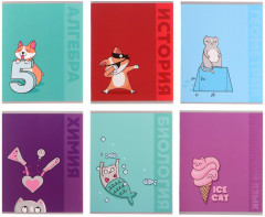 Комплект тетрадей предметных - Фото 1