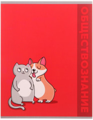 Комплект тетрадей предметных - Фото 3