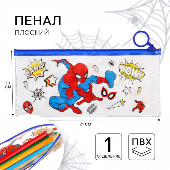 Пенал школьный