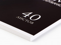 Альбом для рисования «Лев» - Фото 1