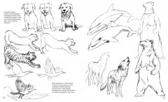 Рисунок. Простые уроки для начинающих - Фото 6