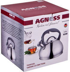 Чайник со свистком (3 л) - Фото 1