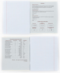 Комплект тетрадей предметных - Фото 4