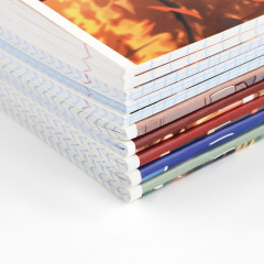 Комплект тетрадей предметных - Фото 5