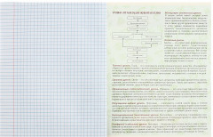 Тетрадь предметная «Анимэ. Биология» - Фото 3