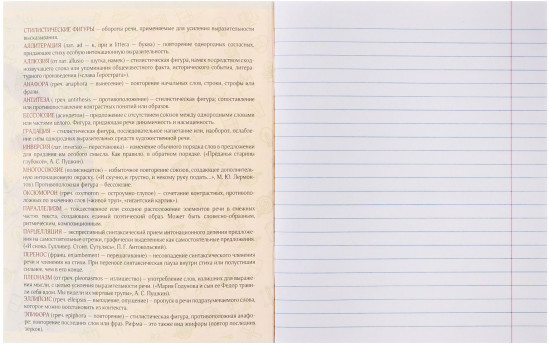 Тетрадь предметная «Полоса. Литература»