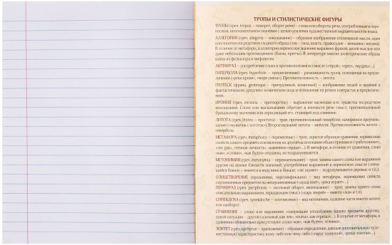 Тетрадь предметная «Полоса. Литература»