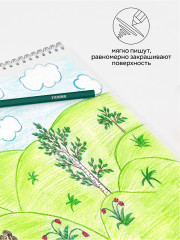 Набор карандашей цветных - Фото 5