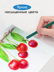 Набор карандашей цветных - Фото 6