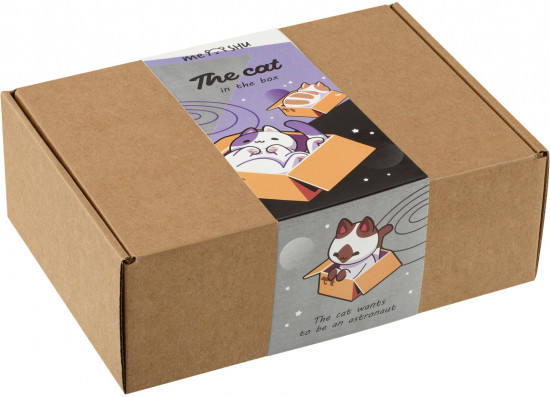 Набор канцелярских принадлежностей «Cat in box»
