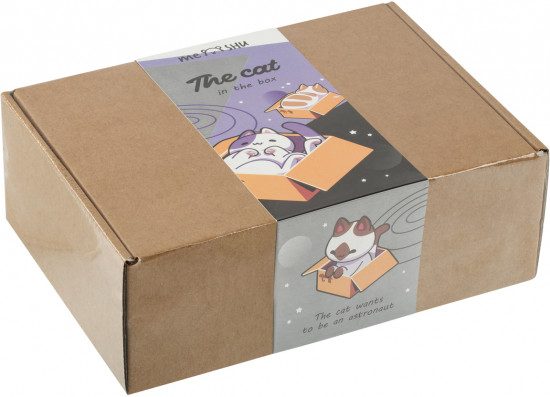 Набор канцелярских принадлежностей «Cat in box»
