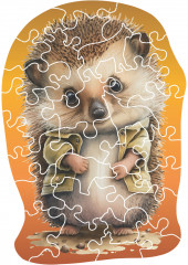 Пазл деревянный в яйце «Ежик» - Фото 1