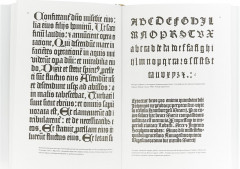 Образцы шрифтов - Фото 1