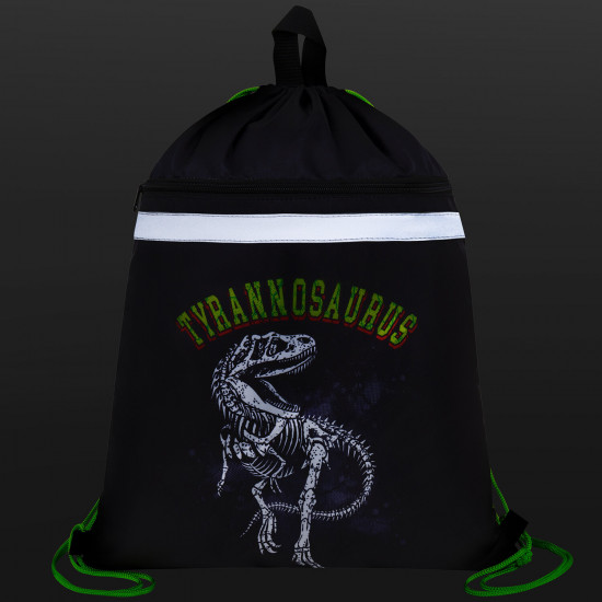 Мешок для обуви «Tyrannosaur»