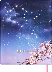 Дневник школьный «Влюбленные коты» - Фото 10