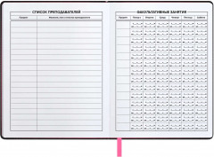 Дневник школьный - Фото 4