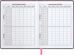 Дневник школьный - Фото 5