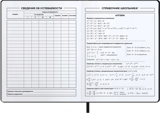 Дневник школьный
