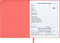 Дневник школьный «Лампочки» - Фото 4