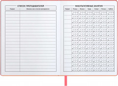 Дневник школьный «Лампочки» - Фото 5