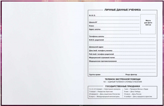 Дневник школьный «Бесконечность»