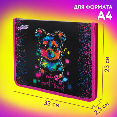Папка для труда на молнии «True friend» - Фото 4