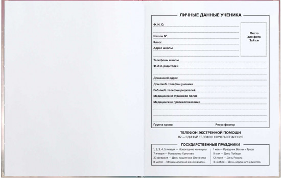 Дневник школьный «Серый пушистик»