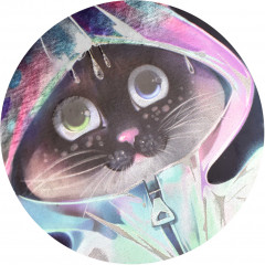 Дневник школьный «Котёнок под дождём» - Фото 3