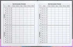 Дневник школьный «Красавица» - Фото 5