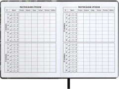 Дневник школьный «Камуфляж» - Фото 5