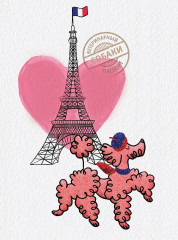 Обложка на ветеринарный паспорт «Париж» - Фото 1