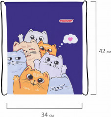 Мешок для обуви «Cats greetings» - Фото 5