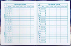 Дневник школьный «Принцесса с драконом» - Фото 5