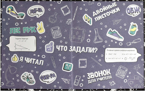 Дневник школьный «Панк»