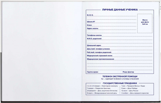 Дневник школьный «Фразы с характером»