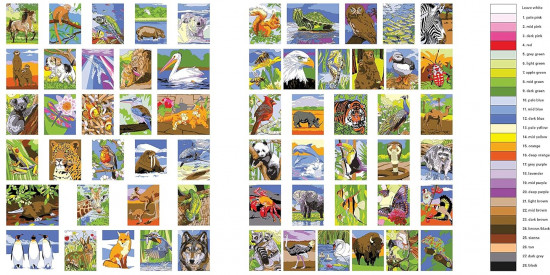 Animal Kingdom. Colour by Numbers