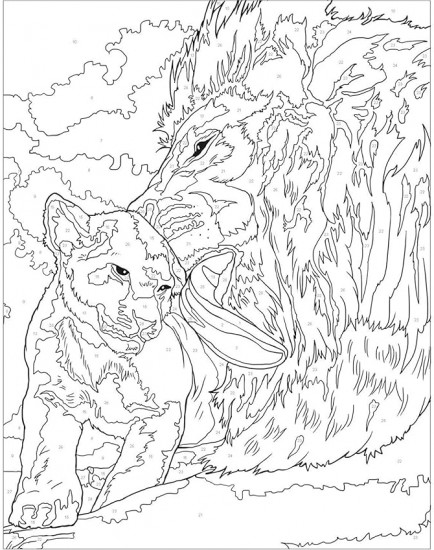 Animal Kingdom. Colour by Numbers