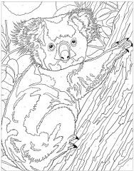 Animal Kingdom. Colour by Numbers - Фото 3