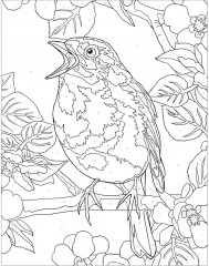 Animal Kingdom. Colour by Numbers - Фото 4