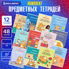 Комплект предметных тетрадей «Кот-энтузиаст» - Фото 1