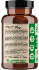 Капсулы «Глицин + гинкго билоба + готу кола» - Фото 1